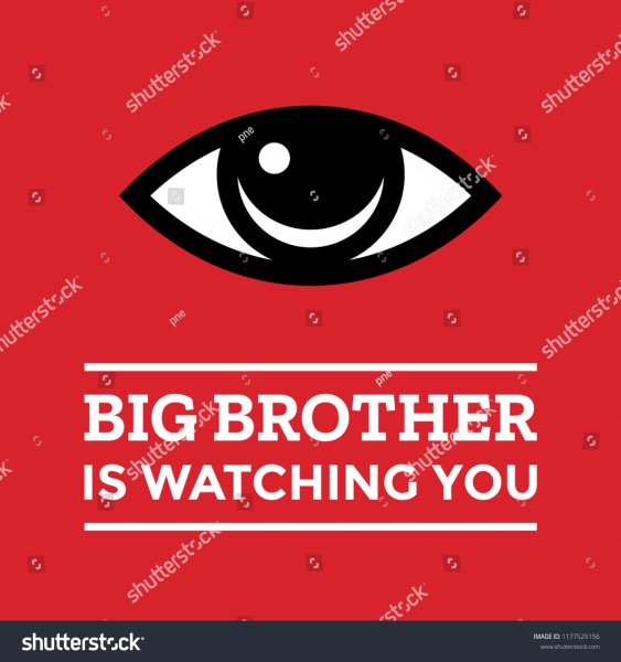Big brother is watching you глаз