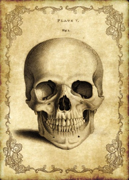 Готические постеры