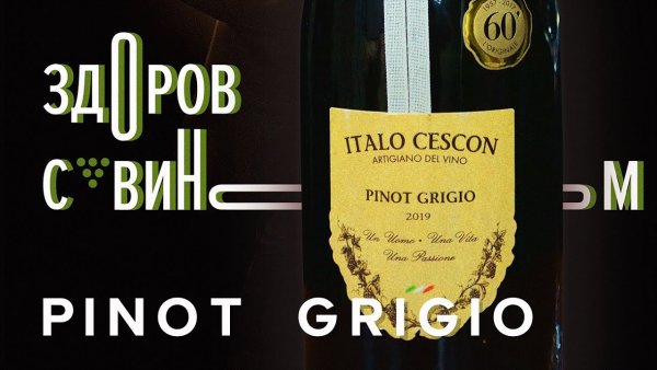 Шираз Пино Гриджио