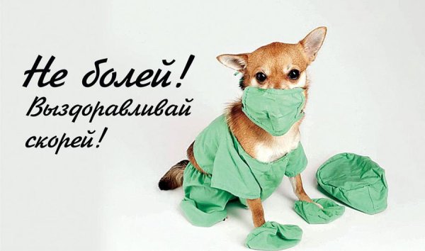 Выздоравливайте надпись