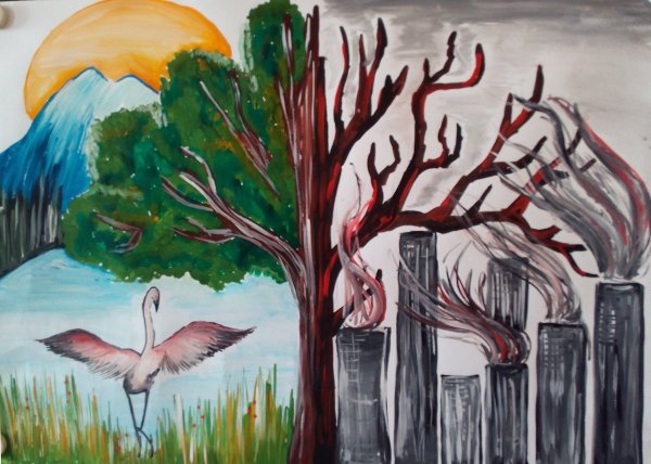 Экологический рисунок