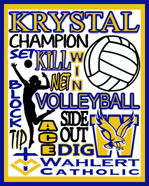 Плакат по волейболу