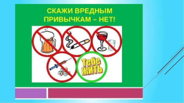 Вредным привычкам книжный заслон