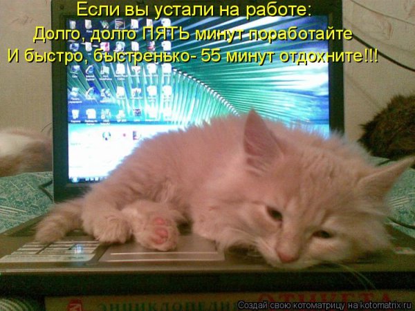 Стих про работу