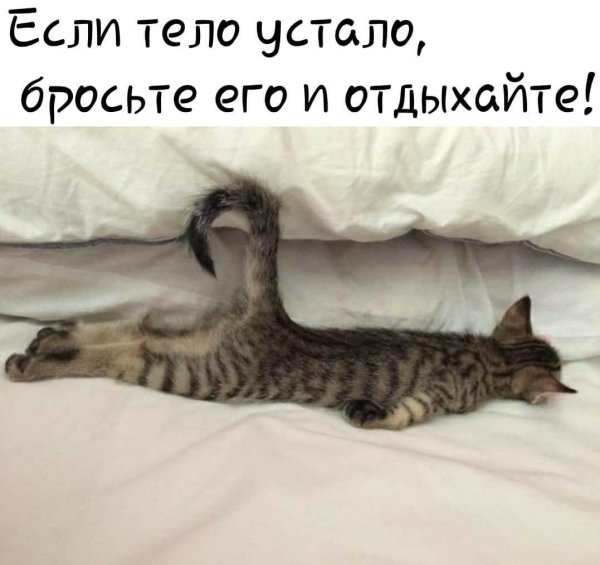 Прикольная открытка проснулись?