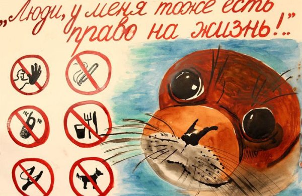 Рисунок берегите животных