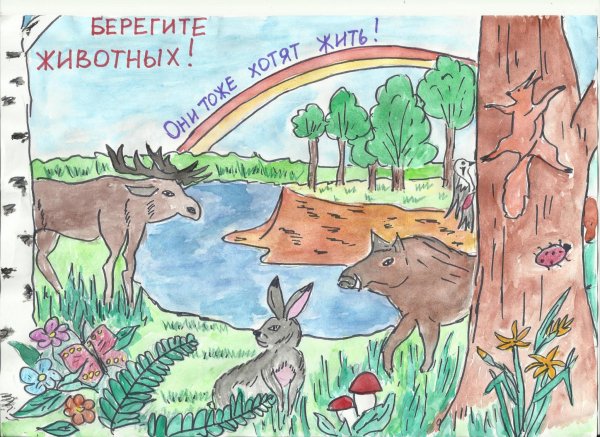 Плаать берегитеживотных