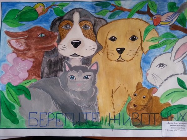 Детские рисунки на тему защиты животных