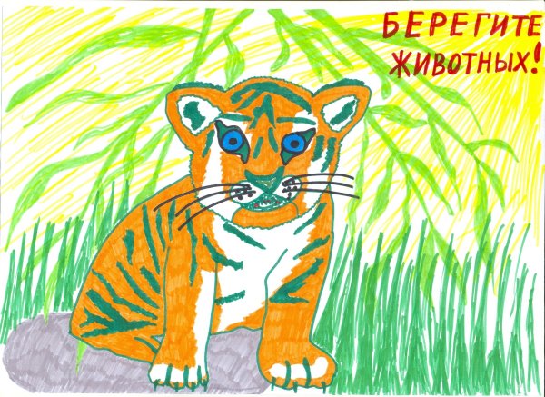 Плакат охрана животных