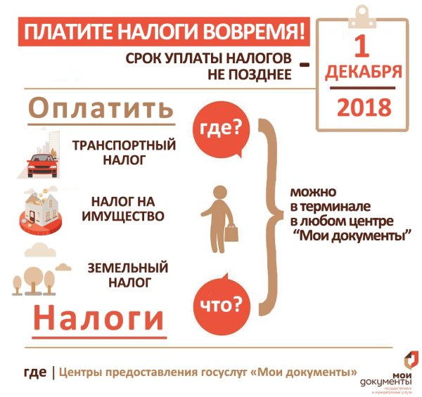 Баннер налоговой службы