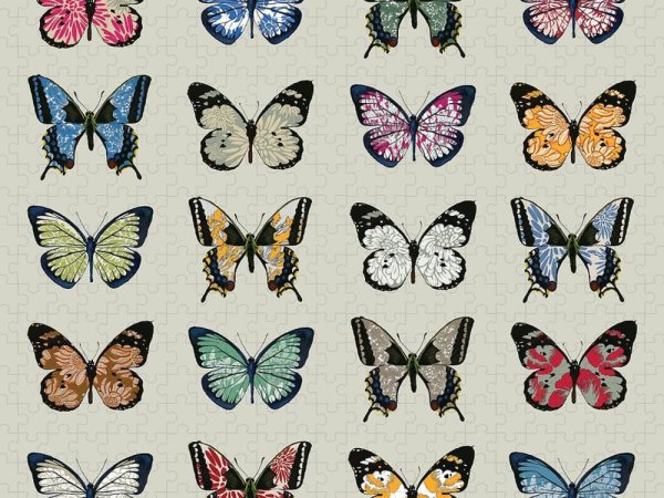 Бабочки плакат