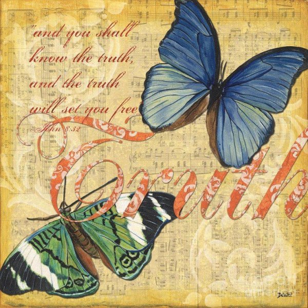 Бабочки плакат