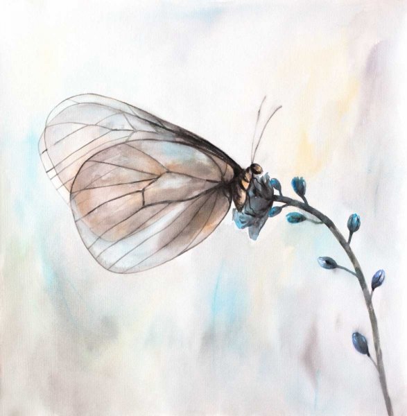 Постер нарисованный бабочка