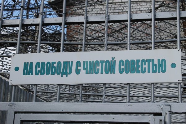 На свободу с чистой совестью лозунг