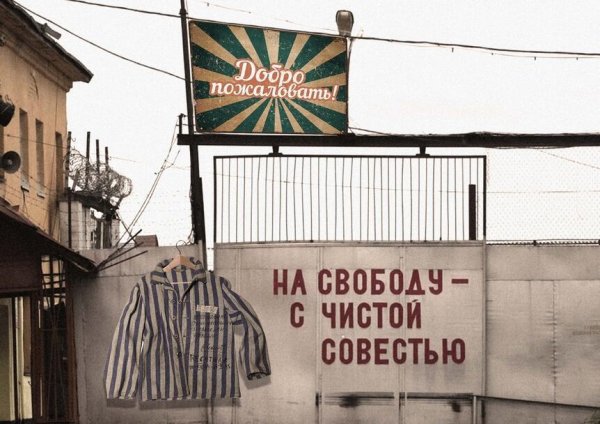 На свободу с чистой совестью приколы