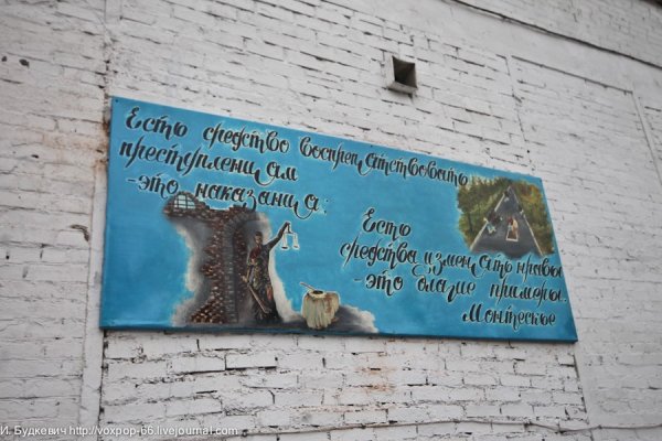 На свободу с чистой совестью