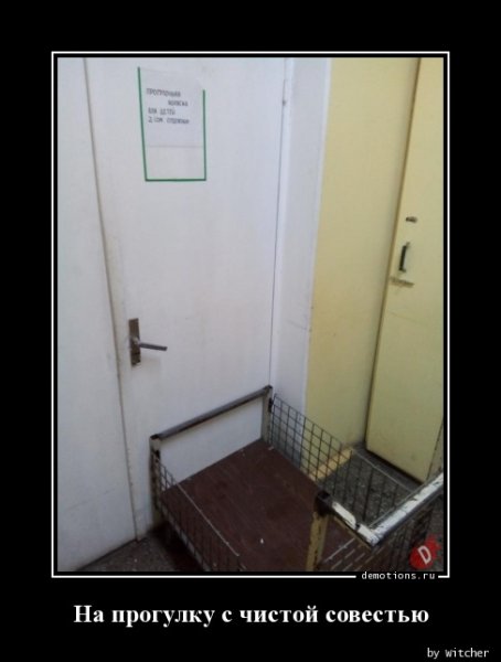 Освобождение осужденных