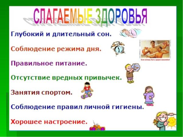 Слагаемые здоровья