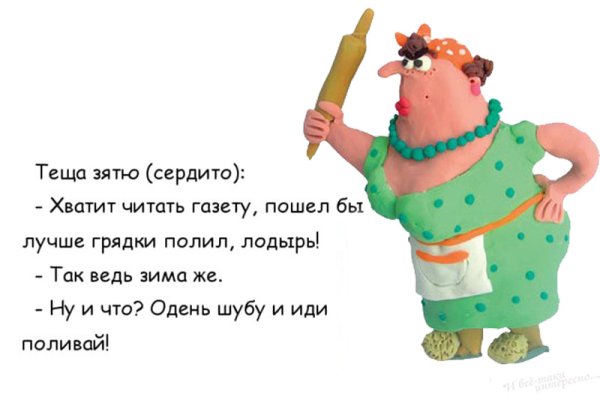 Хорошая теща для зятя