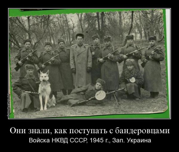 Плакаты ОУН УПА