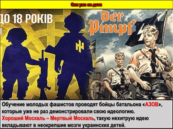 Флаг бандеровцев