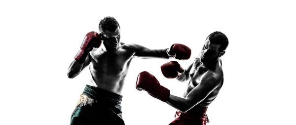 Обои для боксера