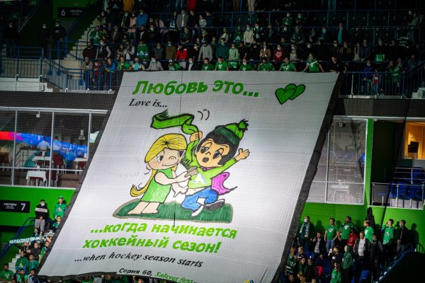 Хоккейные плакаты болельщиков