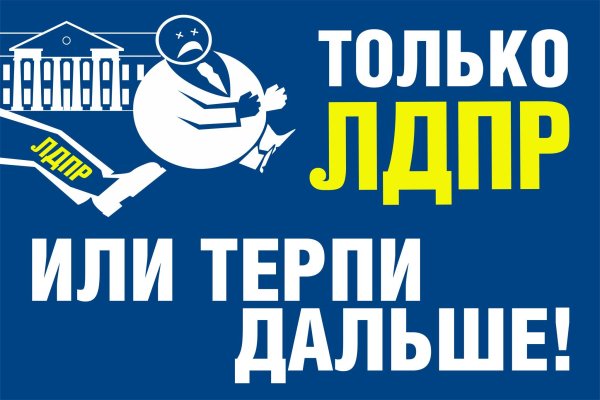 Листовки ЛДПР