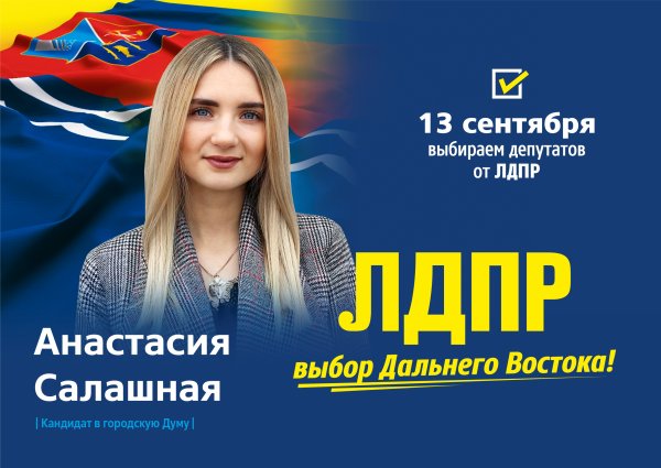 ЛДПР баннер