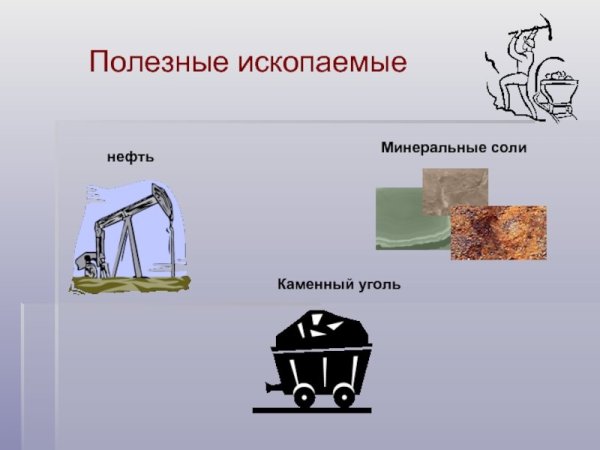 Охрана полезных ископаемых