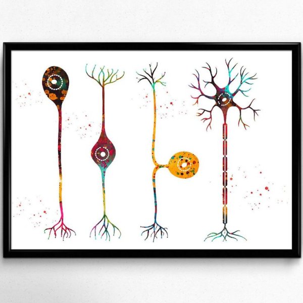 Искусственный интеллект визуализация