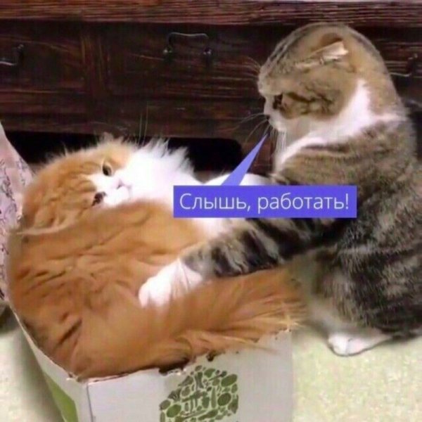 Плакат Путина работать