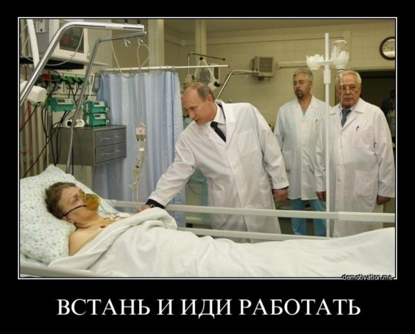 Ты Король а я за тебя не голосовал