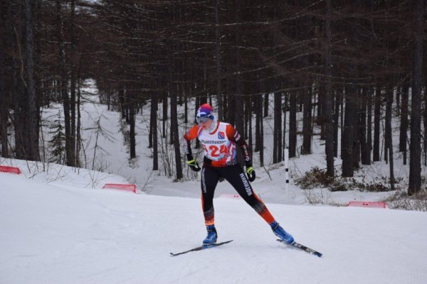 Баннер лыжные гонки