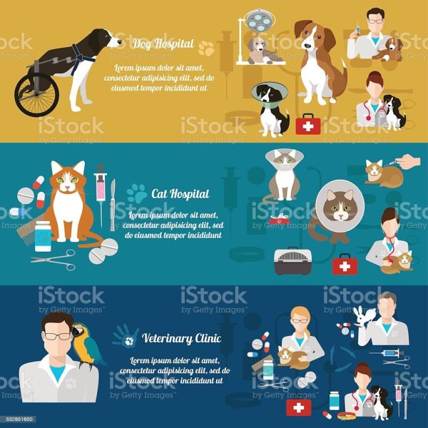 Постеры для ветеринарной клиники