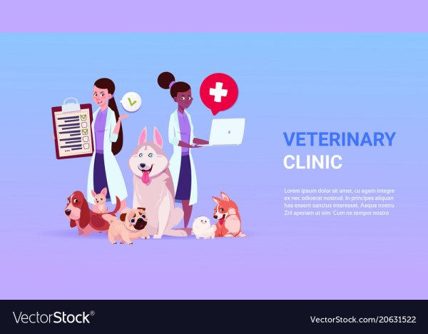 Картинки по ветеринарии для плакатов