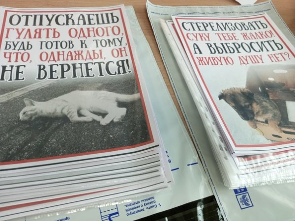 Плакаты Ветеринария