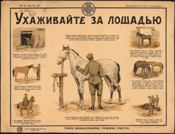 Ветеринарная помощь