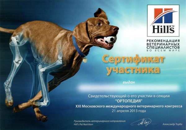 Плакаты для ветеринарной клиники