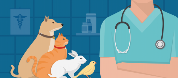 Профилактическая вакцинация животных