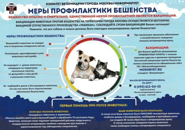 Ветеринарная клиника баннер