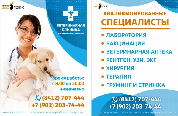 Бешенство памятка для детей