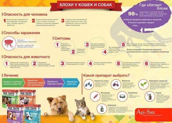 Плакаты Ветеринария