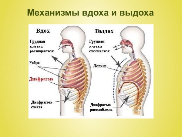 Пьеса вдох выдох Юлии Тупикиной