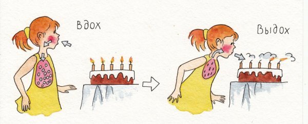 Дыхательные движения регуляция дыхания схема