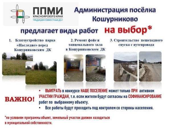 Проекты местных инициатив