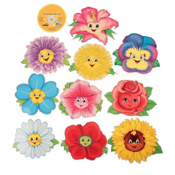 Цветы названия с картинками