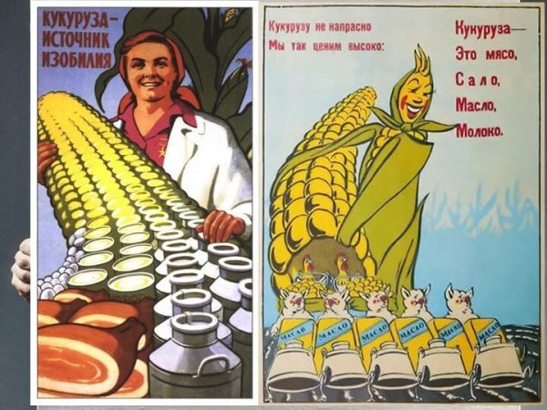 Кукуруза царица полей Хрущев