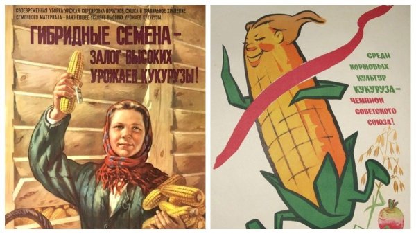 Хрущев Никита Сергеевич кукуруза плакаты