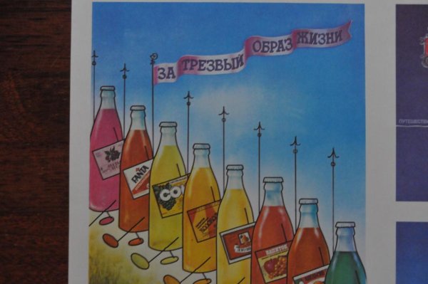 Трезвость норма жизни картинки